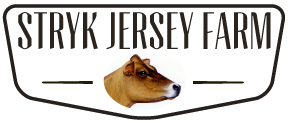 Stryk Jersey Farm